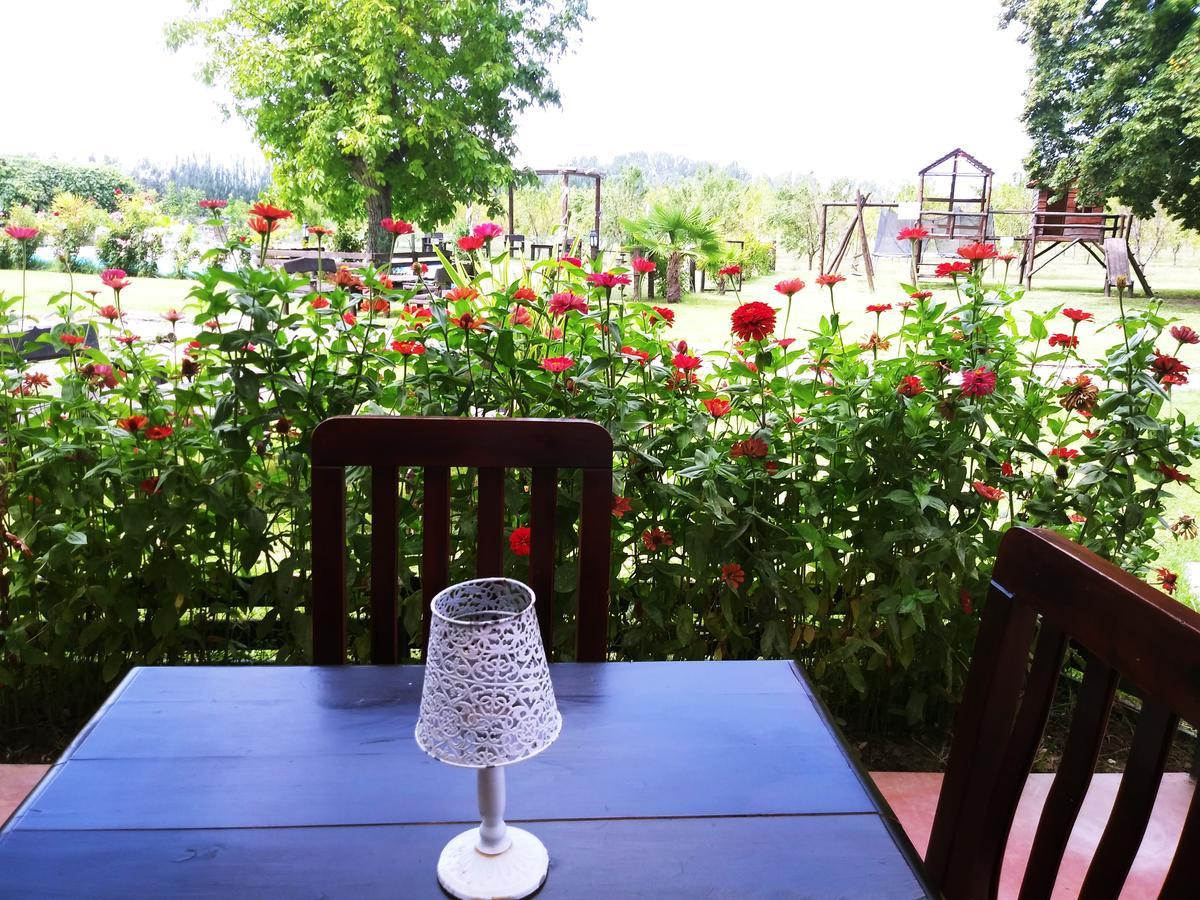 Finca Los Almendros Hotel Tunuyan Ngoại thất bức ảnh