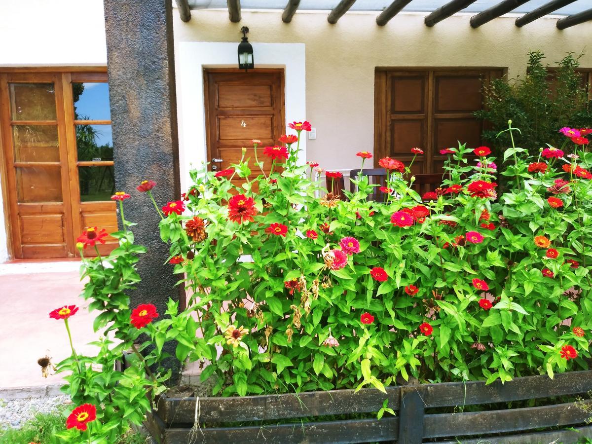 Finca Los Almendros Hotel Tunuyan Ngoại thất bức ảnh